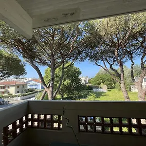 https://casa-palma-massa-tuscany.it-tuscanyhotel.com